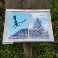 Infotafel