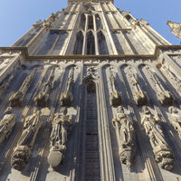 Theobaldus Münster Thann