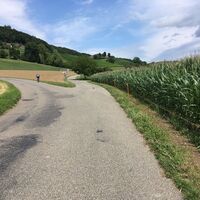 Hohenklingenstrasse