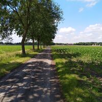 Radrundweg R 19 Herzebrock-Clarholz