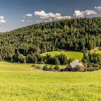 Landschaft in Breitnau