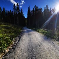 Am Abschnitt "Tribein-Runde"