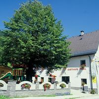 Gasthaus Terkl
