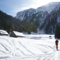 die-almflaechen-der-groessingeralm-blick-richtung-sueden-
