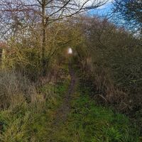 Friedrichsdorf / Witterda - Pfad ins Ungewisse