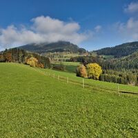 Der Weg führt über Wiesen