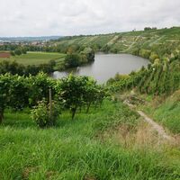 Kirchheimer Weinterrassen