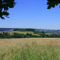Blick von der Karl-Maier-Bank zum Forchenkopf