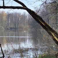 Idylle am Killenweiher
