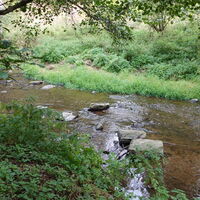 Seebsbach (10-15m vorher etwas verwachsen)