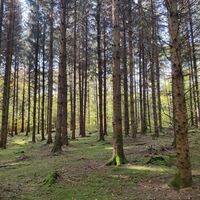 Waldbadepfad Assamstadt