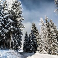 Winterwanderweg
