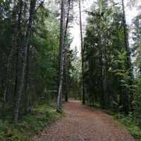 Parkinmäen Naturpfad