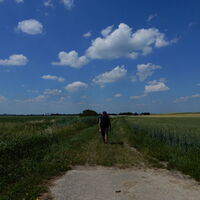 Alberndorf - Patzmannsdorf