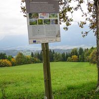 Zwergohreulenwanderweg