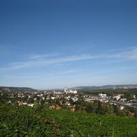 Kahlenberg - Klosterneuburg - Greifenstein