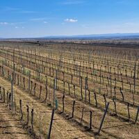 auf der Felser Aussichtswarte
