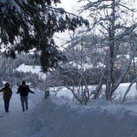 nach Staldenloch-Winterwanderung Seerundgang Schwarzsee