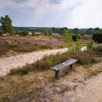 Das Radenbachtal zur Heideblüte