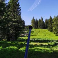 Letztes Stück zum Schafskogel