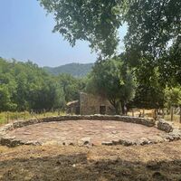 Weizenfeld in Santu Stefanu