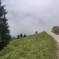 beginnendes Almgelände kurz vor der Stoißer Alm
