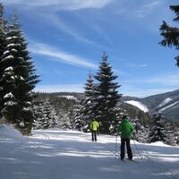 Wechsel-Panoramaloipe