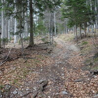 Aufstieg oberhalb Blättertal