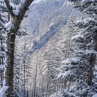Felsen auf der gegenüberliegenden Seite des Rossbachs