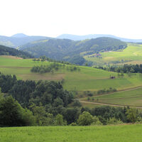 Holdersbachtal und im Hintergrund der Brandenkopf