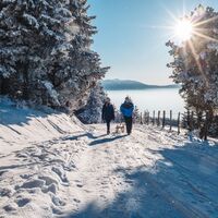 Winterlandschaft Saualpe