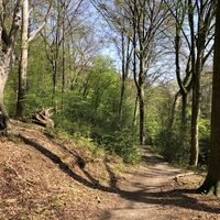 Waldweg hinter Irlermühle