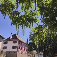 Ortskern von Güttingen