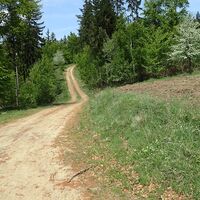 am Weg zum Friedrichfelsen