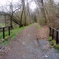 Radweg auf der ehemaligen Bahntrasse im Hanfbachtal