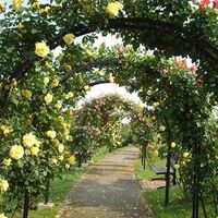 Rosengarten in Unterrosenberg