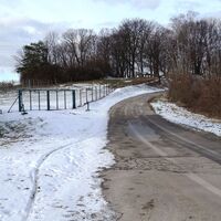 Am Weg Richtung Haschhof