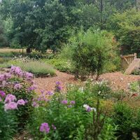 Kräutergarten im ErlebnisWald (Schö 1)