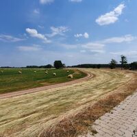 Elberadweg und Altmarkrundkurs auf dem Deich in der Elbe Aland Niederung (Altmark)