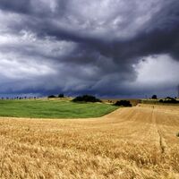 krimiweg-wolken-1molter_1