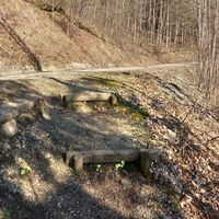 Dieser Forststrasse folgte ich rechts hinauf
