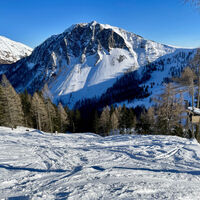 Im freien Gelände auf rund 1.550 m