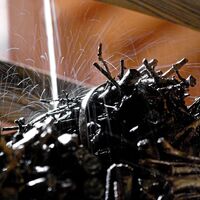 Heilendes Wasser_ApfelLand- Stubenbergsee_Oststermark