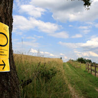 Panoramasteig bei Berkenroth