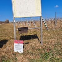 Kreuzung Güterweg Dorner/Weg Scheibe