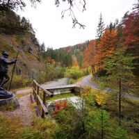 Erlauf_Walster2
