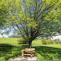 Trekkingplatz D3 - Rhenequelle bei Schweinsbühl