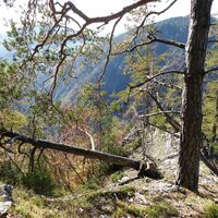 Patscha-Nase_Naturpark Almenland_Oststeiermark