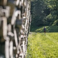 Das Bild zeigt eine Person, die auf einem schmalen Grasweg entlang einer aufgestapelten Holzscheitwand wandert. Im Hintergrund spenden große Bäume Schatten und vermitteln eine ruhige, naturnahe Atmosphäre.