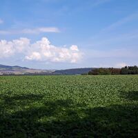 Blick auf die Hegauberge